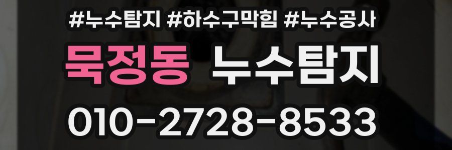 묵정동 누수탐지업체