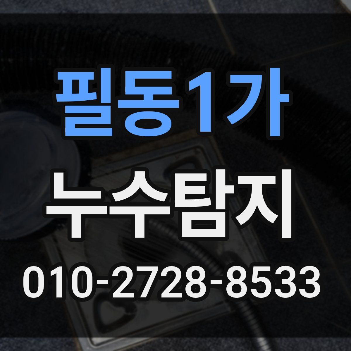 필동1가 누수탐지