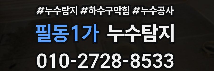 필동1가 누수탐지업체