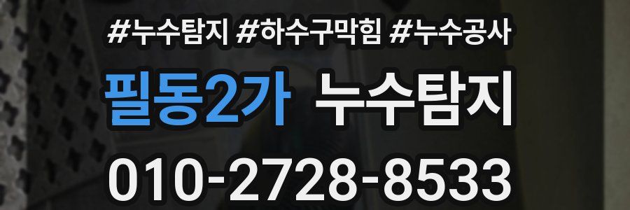 필동2가 누수탐지업체