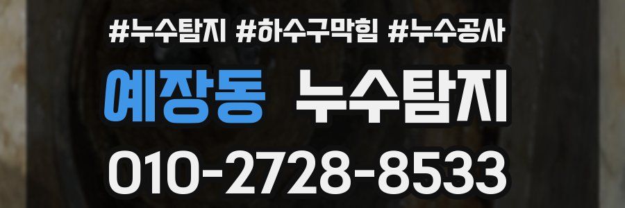 예장동 누수탐지업체
