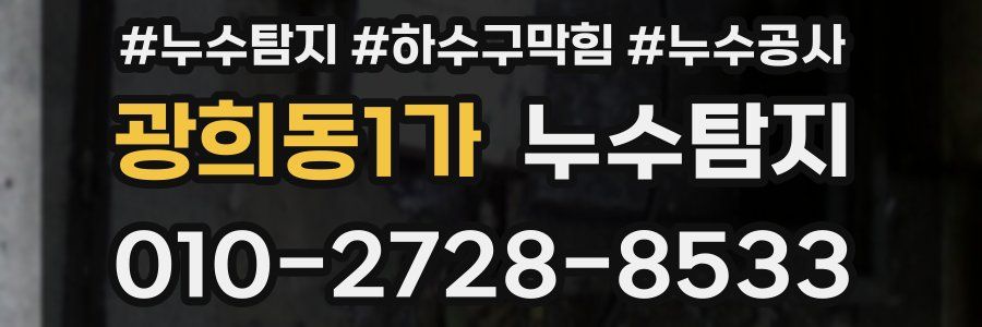 광희동1가 누수탐지업체