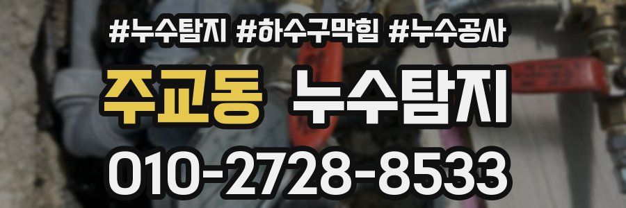 주교동 누수탐지업체