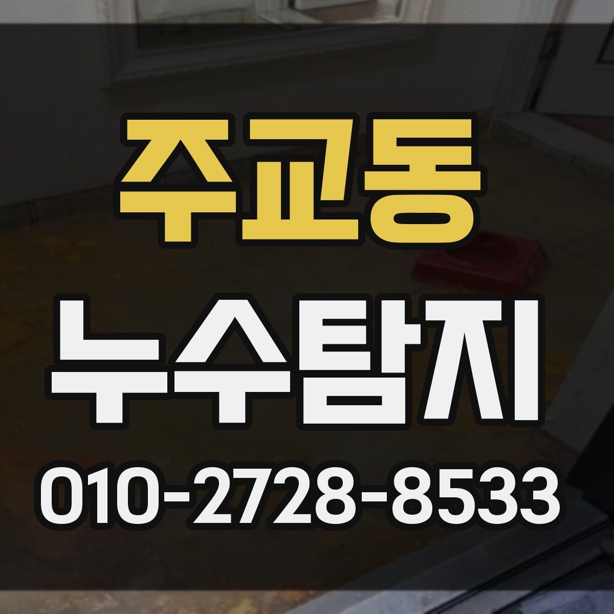 주교동 누수탐지