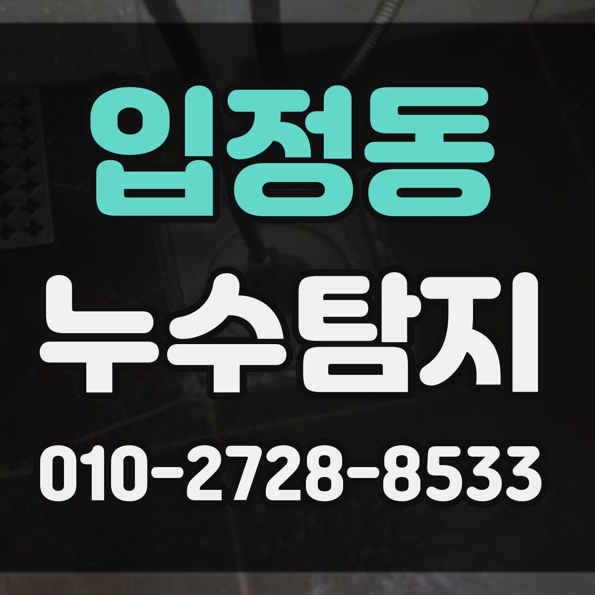 입정동 누수탐지