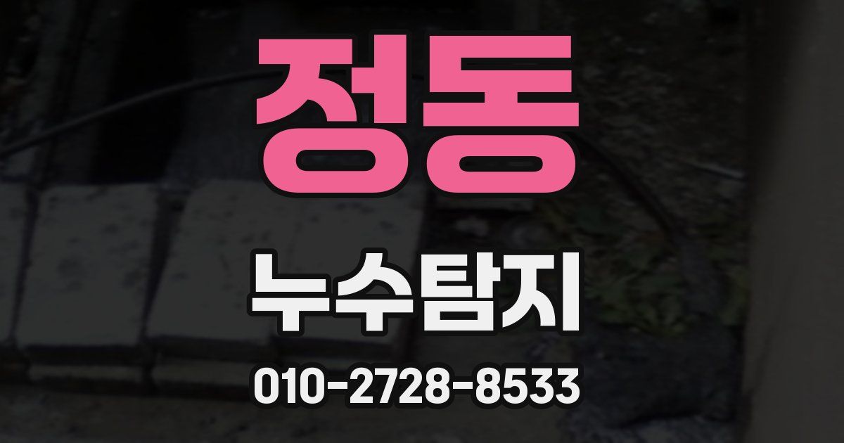 정동 누수공사