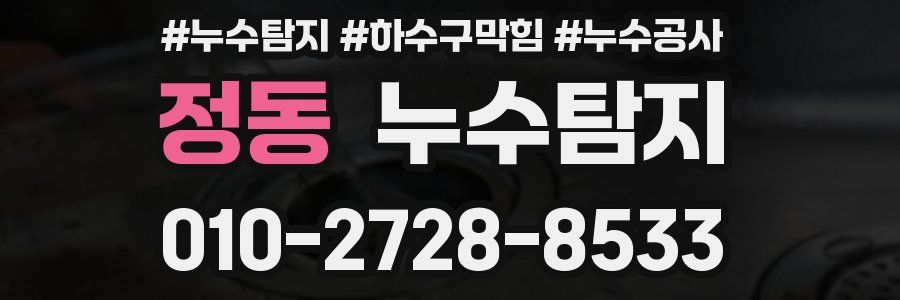 정동 누수탐지업체
