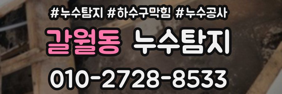 갈월동 누수탐지업체