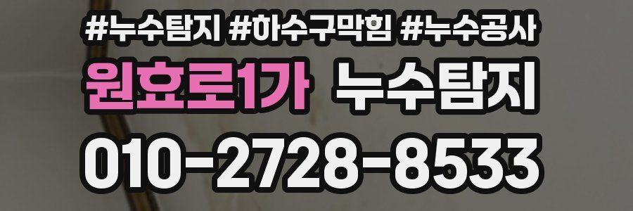 원효로1가 누수탐지업체