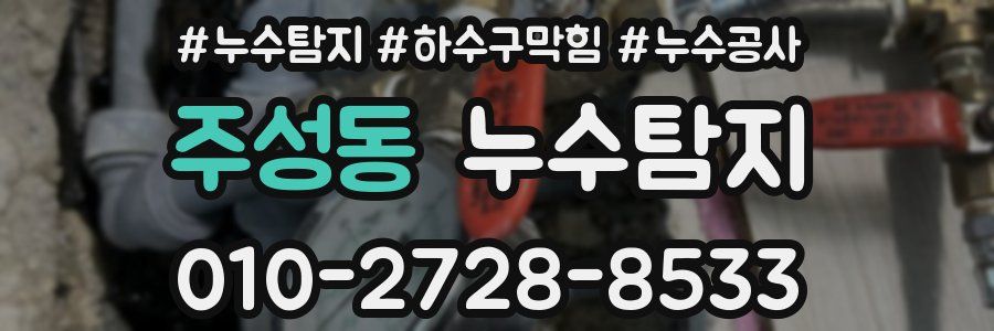 주성동 누수탐지업체