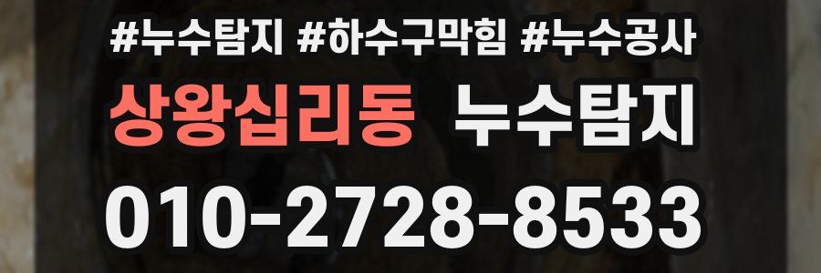 상왕십리동 누수탐지업체