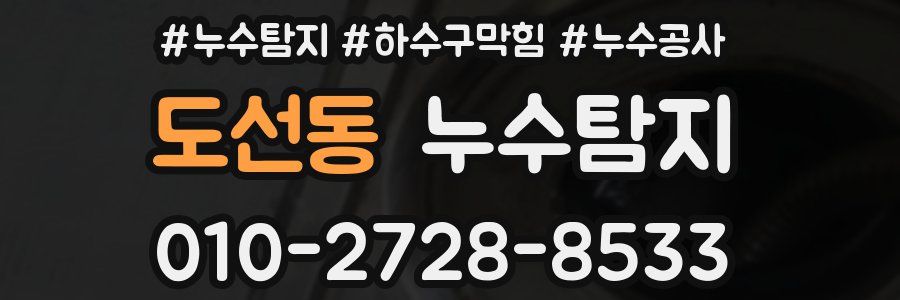 도선동 누수탐지업체