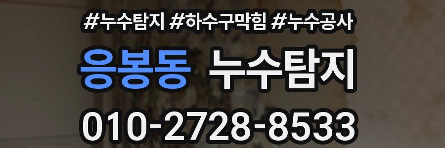 응봉동 누수탐지업체