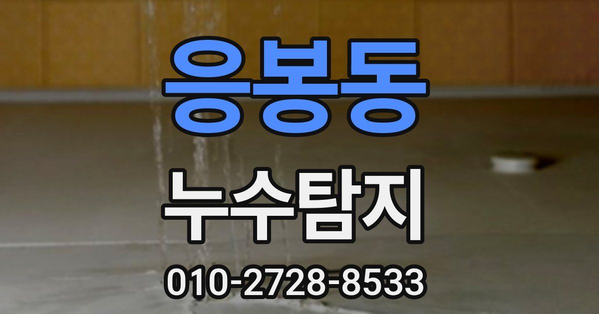 응봉동 누수공사