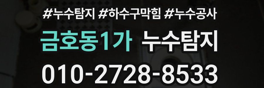 금호동1가 누수탐지업체