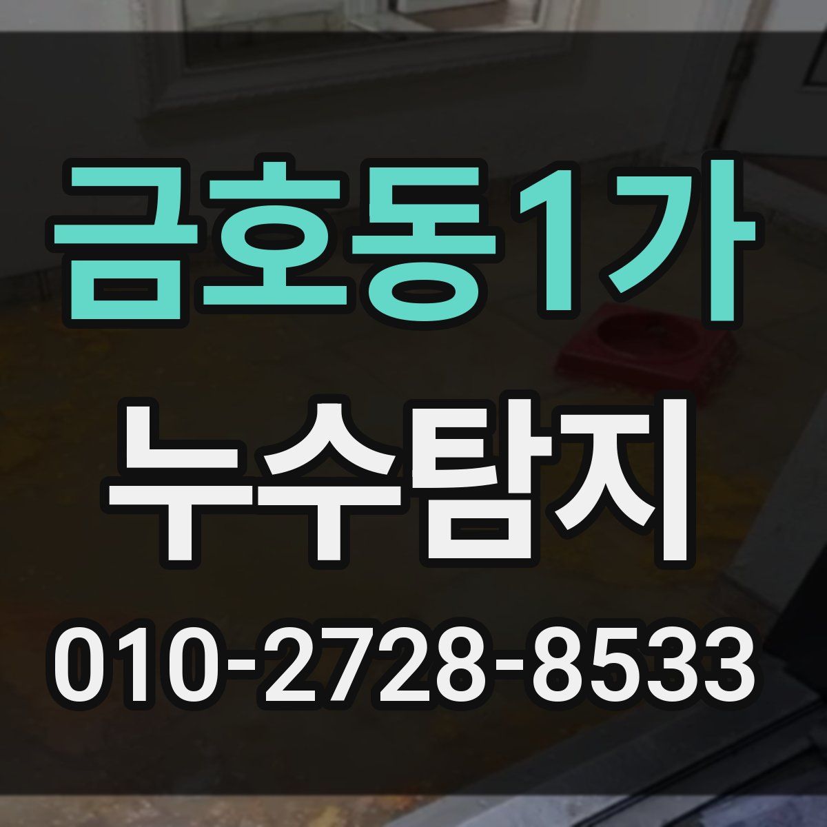 금호동1가 누수탐지