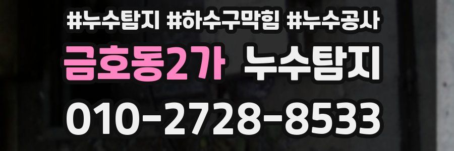 금호동2가 누수탐지업체