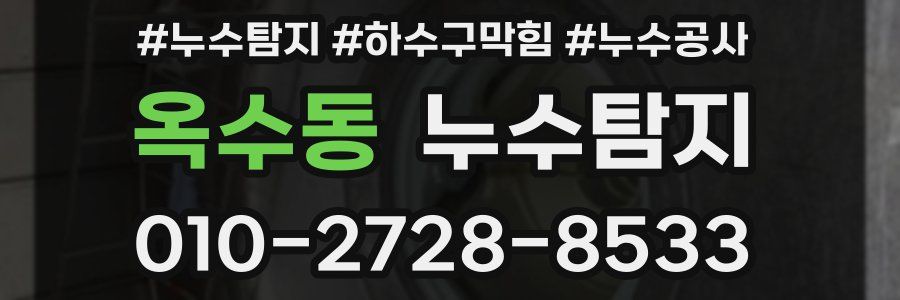 옥수동 누수탐지업체
