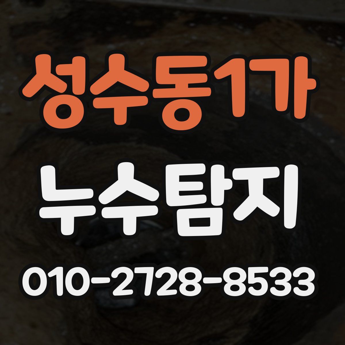성수동1가 누수탐지