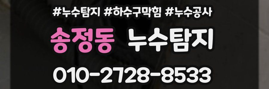 송정동 누수탐지업체