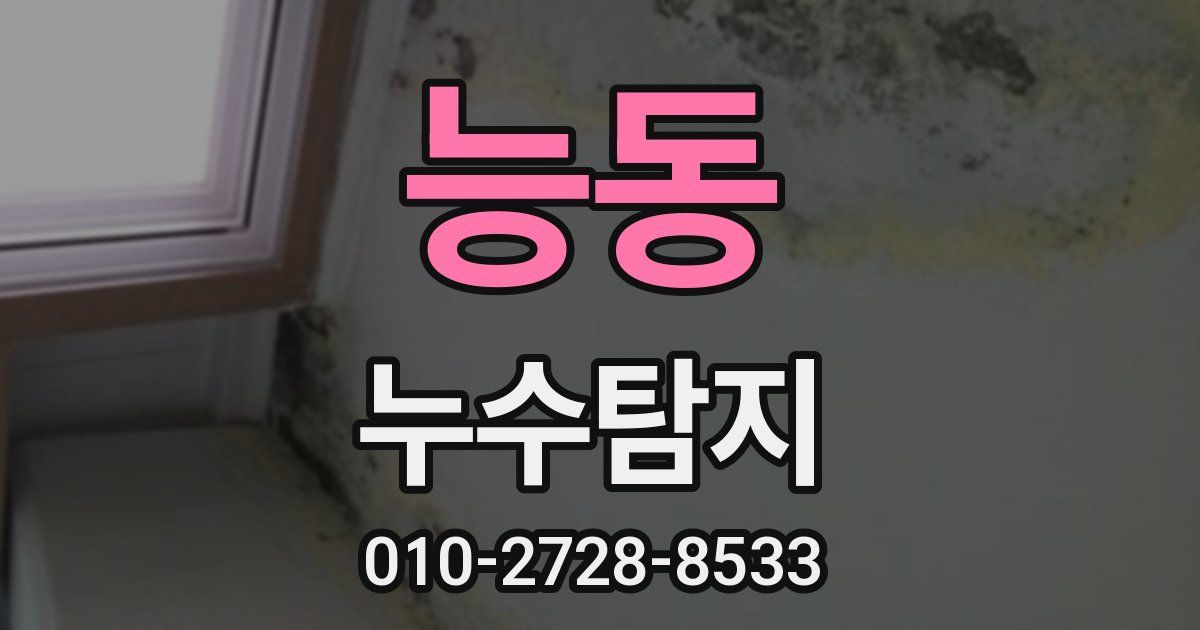 능동 누수공사