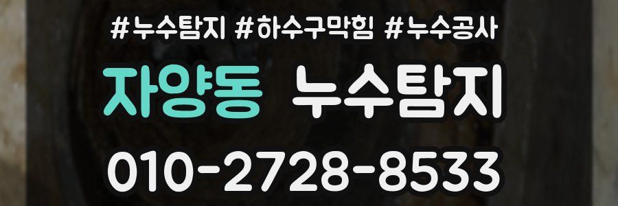 자양동 누수탐지업체