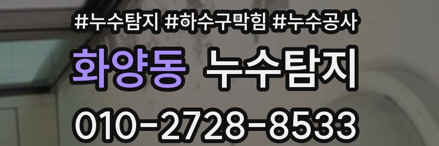 화양동 누수탐지업체