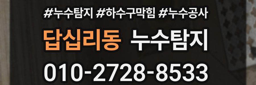 답십리동 누수탐지업체