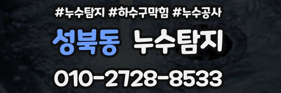 성북동 누수탐지업체