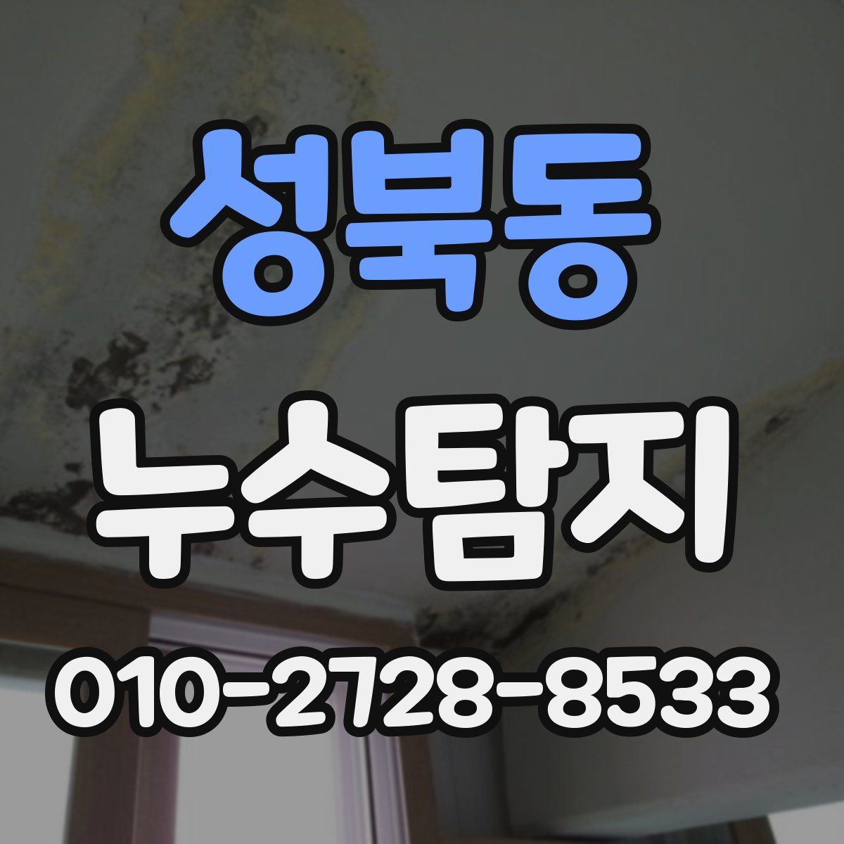 성북동 누수탐지