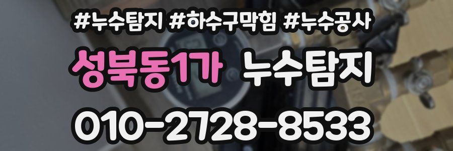 성북동1가 누수탐지업체