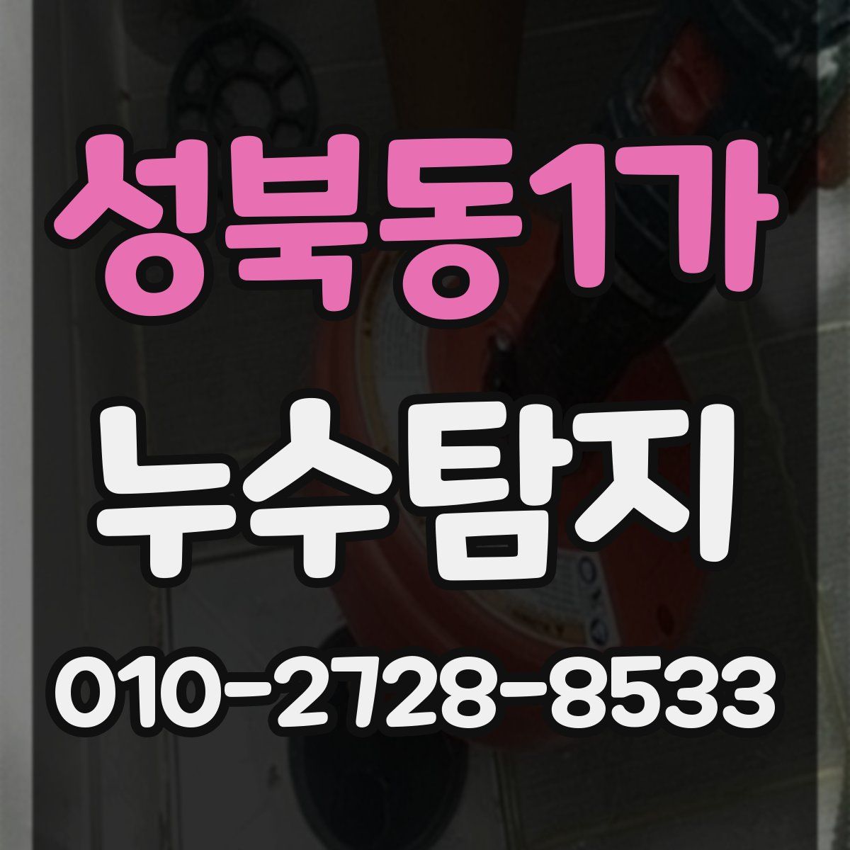 성북동1가 누수탐지