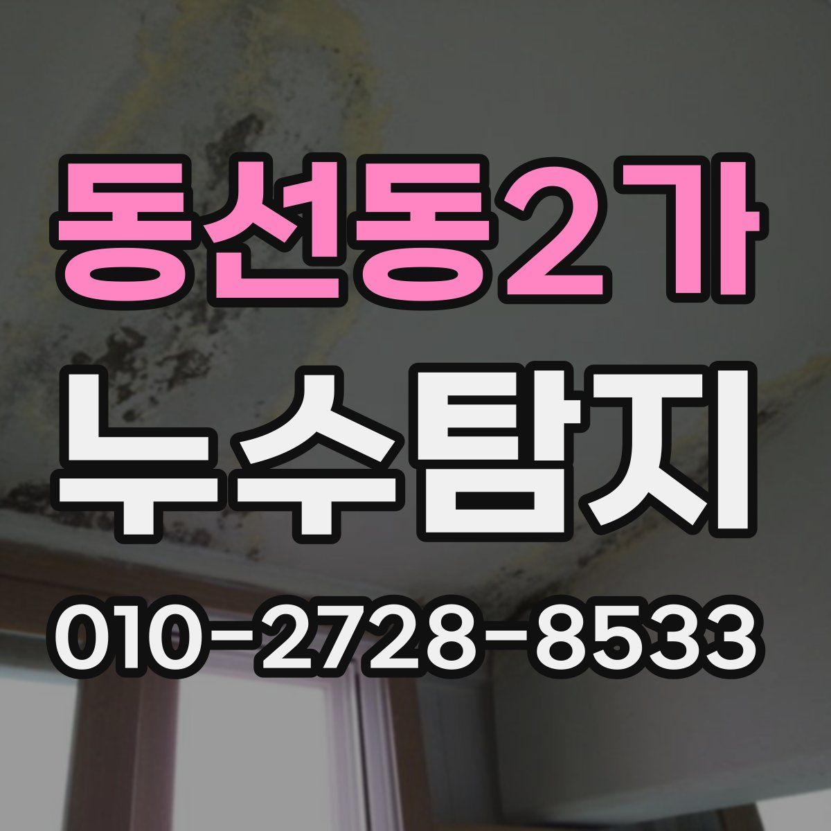 동선동2가 누수탐지