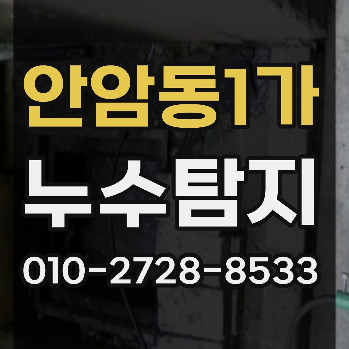 안암동1가 누수탐지