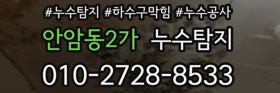 안암동2가 누수탐지업체