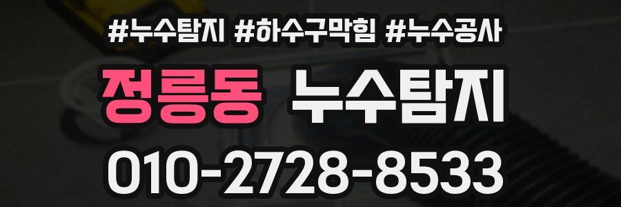 정릉동 누수탐지업체