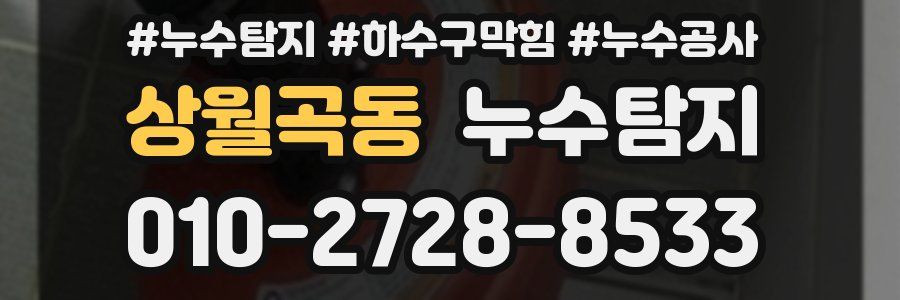 상월곡동 누수탐지업체