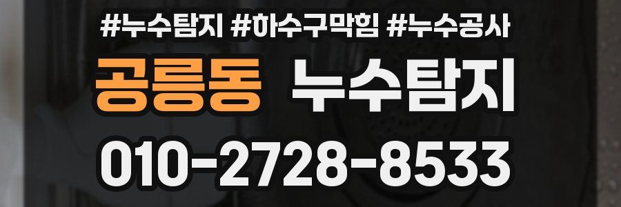 공릉동 누수탐지업체
