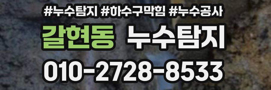 갈현동 누수탐지업체