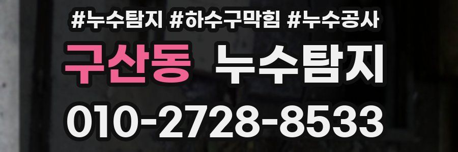 구산동 누수탐지업체