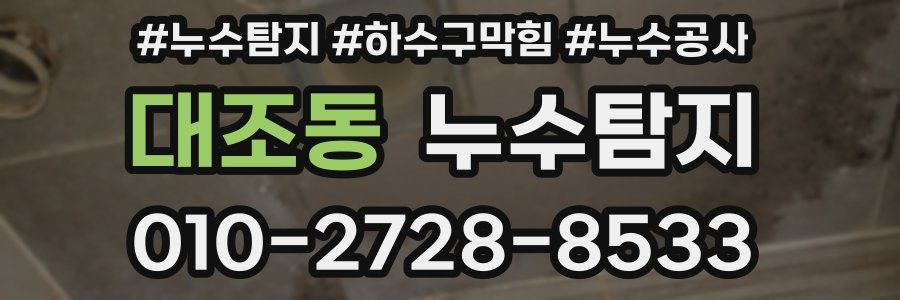 대조동 누수탐지업체