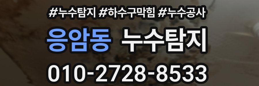 응암동 누수탐지업체