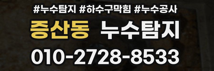 증산동 누수탐지업체