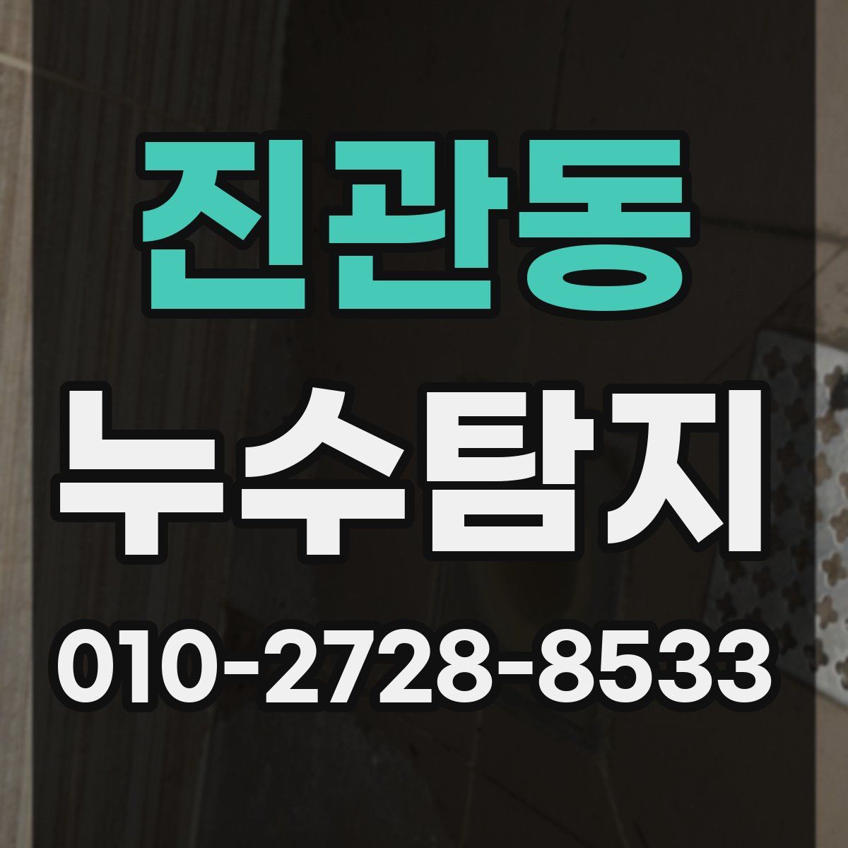 진관동 누수탐지
