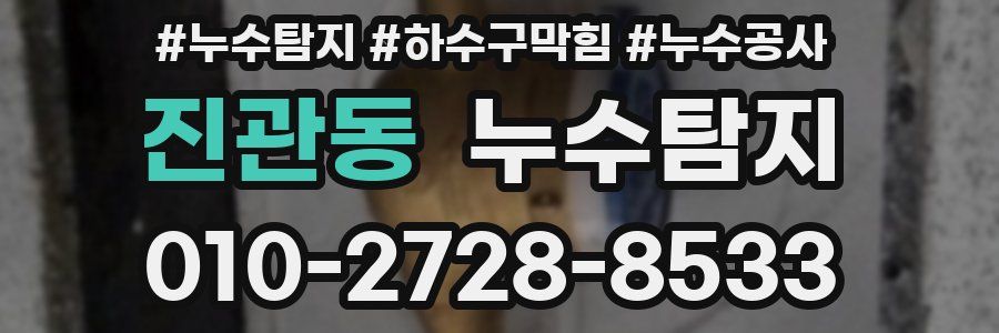 진관동 누수탐지업체