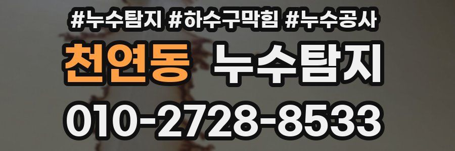 천연동 누수탐지업체