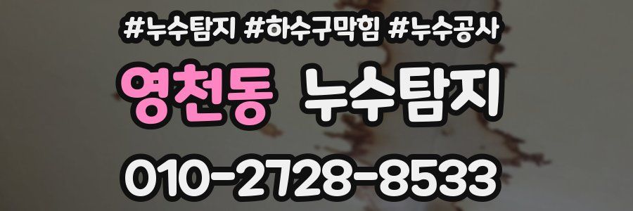 영천동 누수탐지업체
