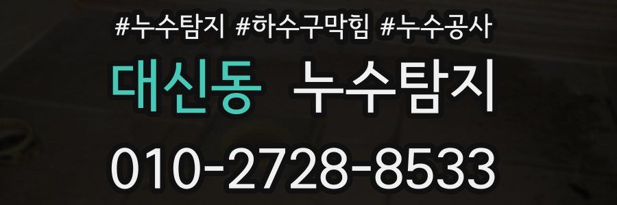 대신동 누수탐지업체