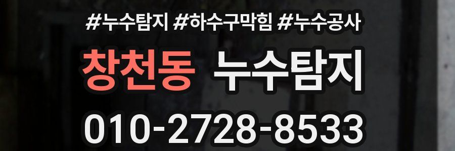 창천동 누수탐지업체