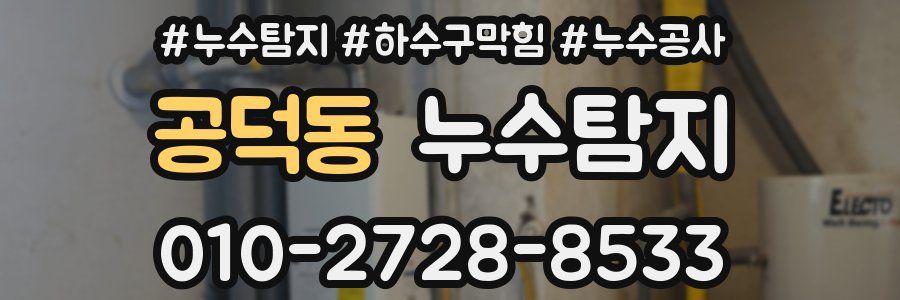 공덕동 누수탐지업체